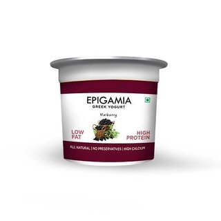 Hp Epigamia Greek Yogurt Wild Rasberry 90gm