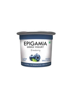 Hp Epigamia Greek Yogurt Blueberry 90gm