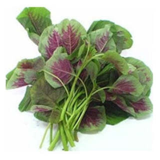 Cholai Saag Green 500 gm