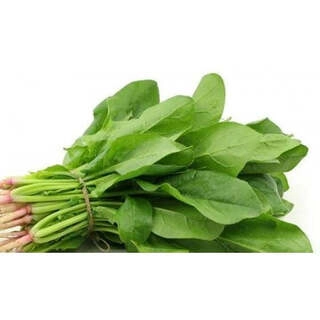 Palak Bunch ( Approx 700 To 800gm)