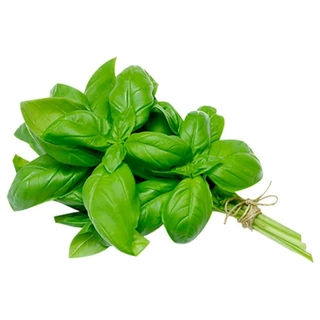 Basil 1Bunch ( 10-15gm)