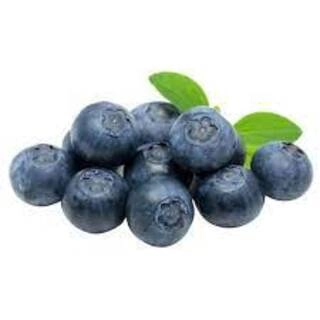 Blueberry 100 gm (Box)