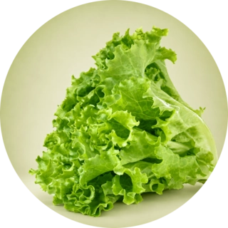 Exotic Vegetable