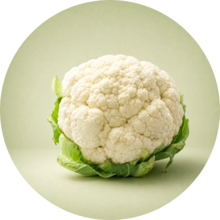 Vegetable