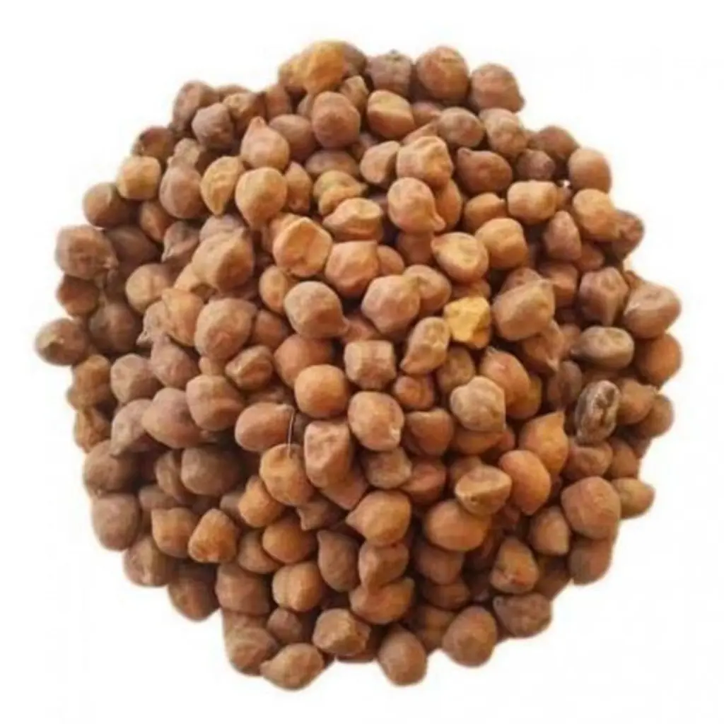 Chana Gavrani