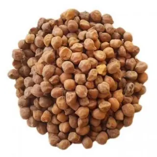 Chana Gavrani