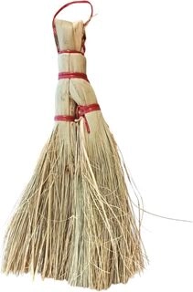 Broom Laxmi Pooja