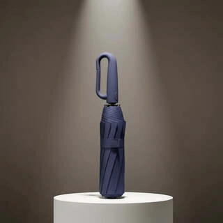 Umbrella Apex 2