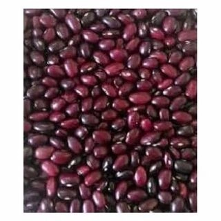 Rajma Sharmili