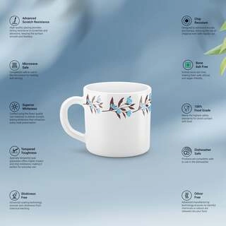 Treo Cup 6 Amara