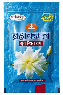 BRAHMKAMAL DHOOP
