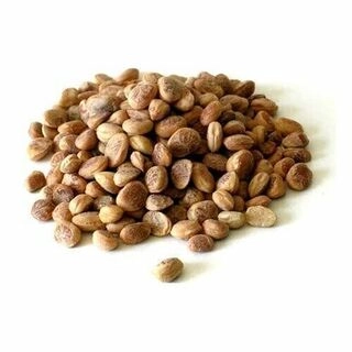 Charoli 50 Gm