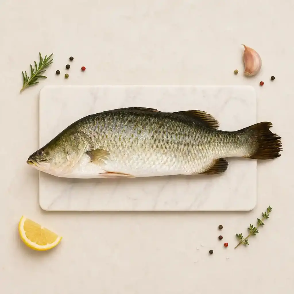 Sea Bass / Bekti