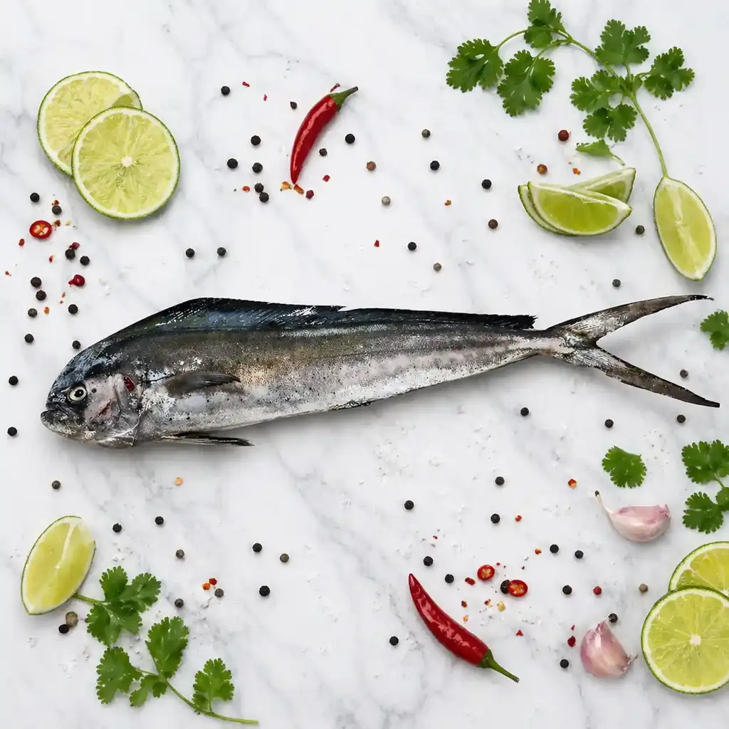 Mahi Mahi / Oarla/Dorado/Pulimotha