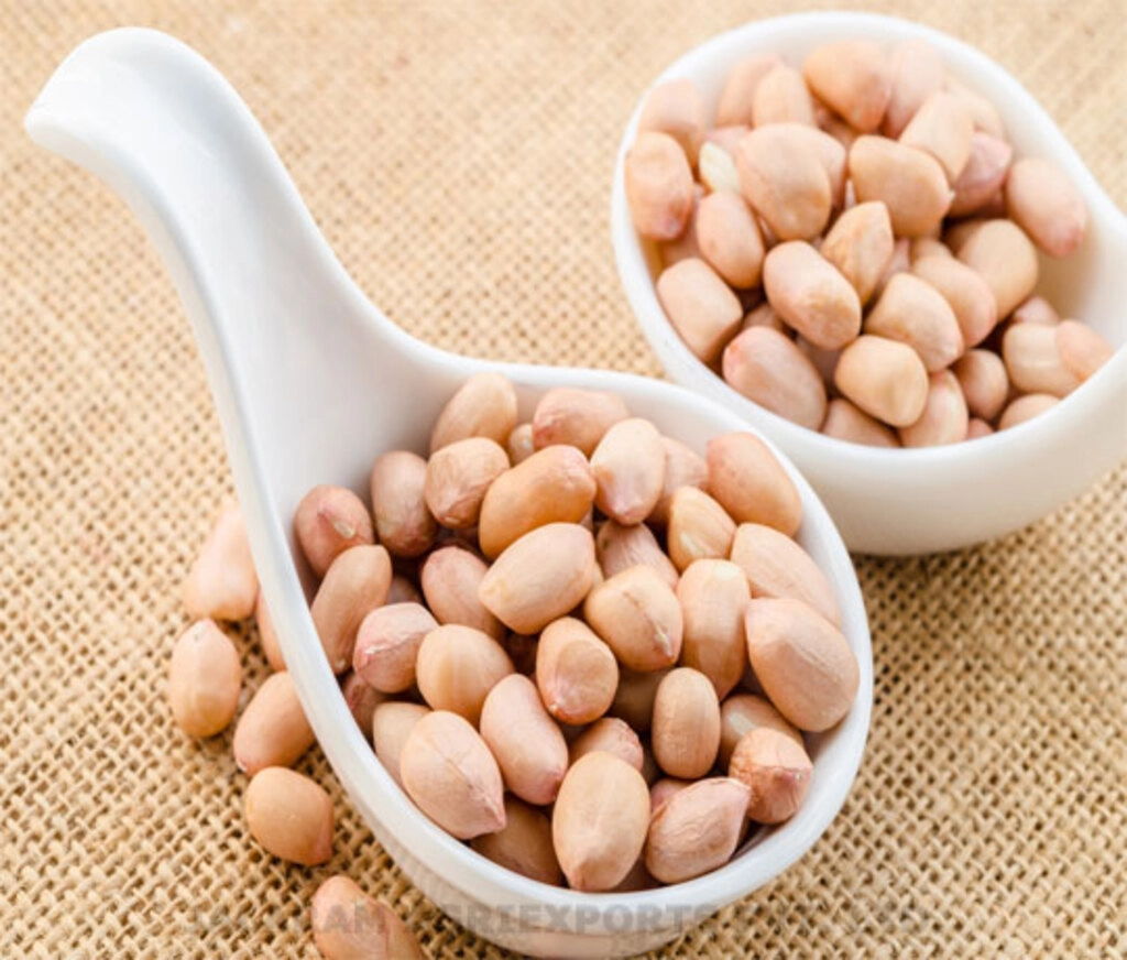 AK GROUND NUTS / SINGDANA