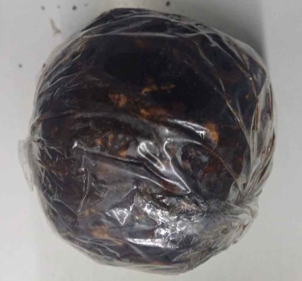 Round Tamarind / Kerala Nandan Puli
