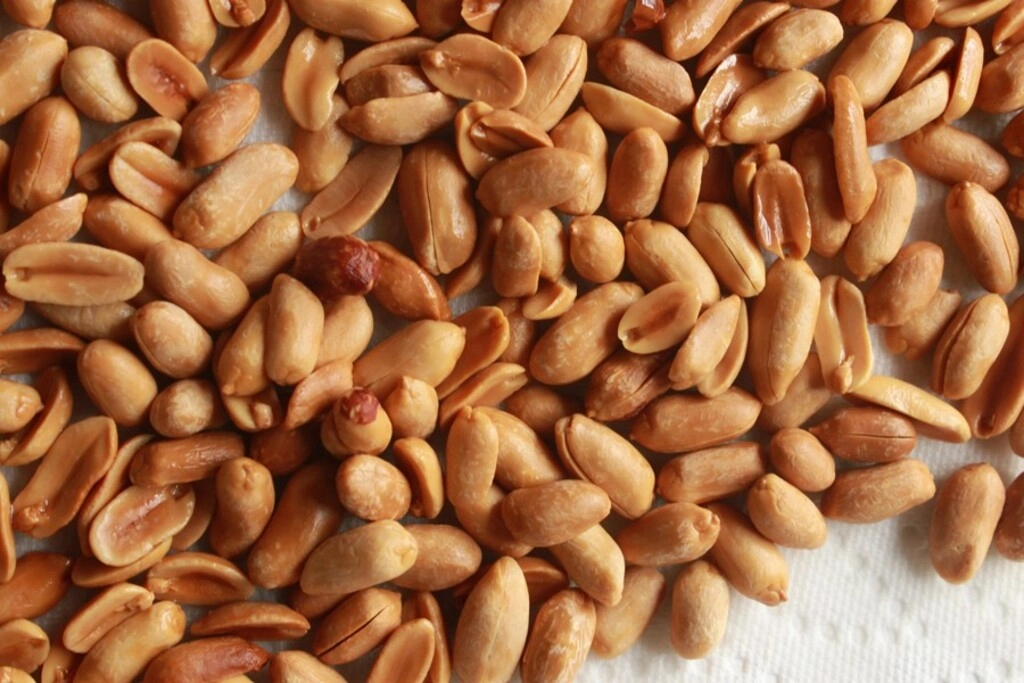 ROASTED PLAIN PEANUT