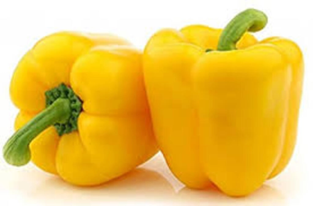 Capsicum
