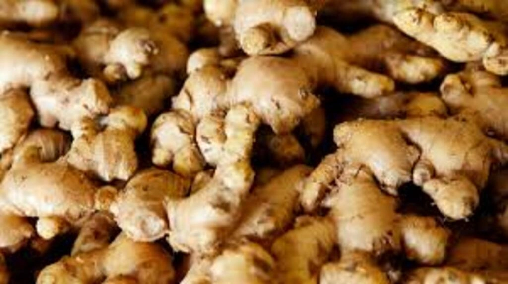 Ginger