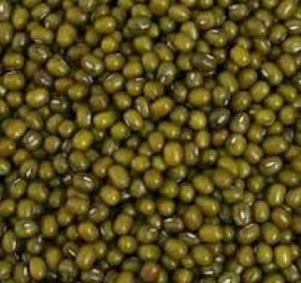 Moong Gota