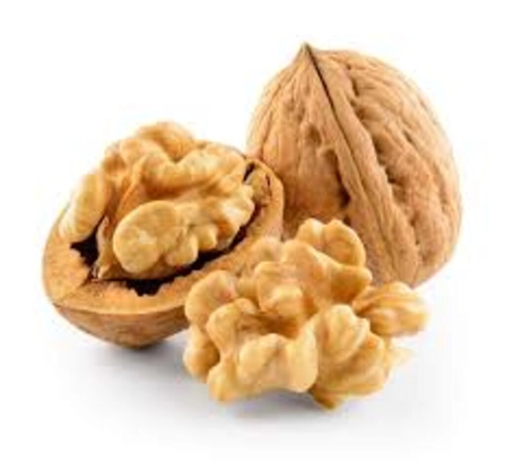 Walnut (Akrod)
