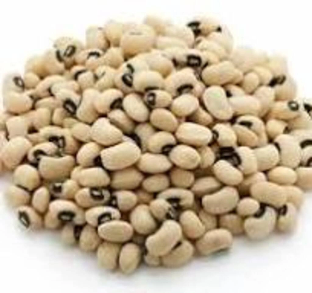 Chowli