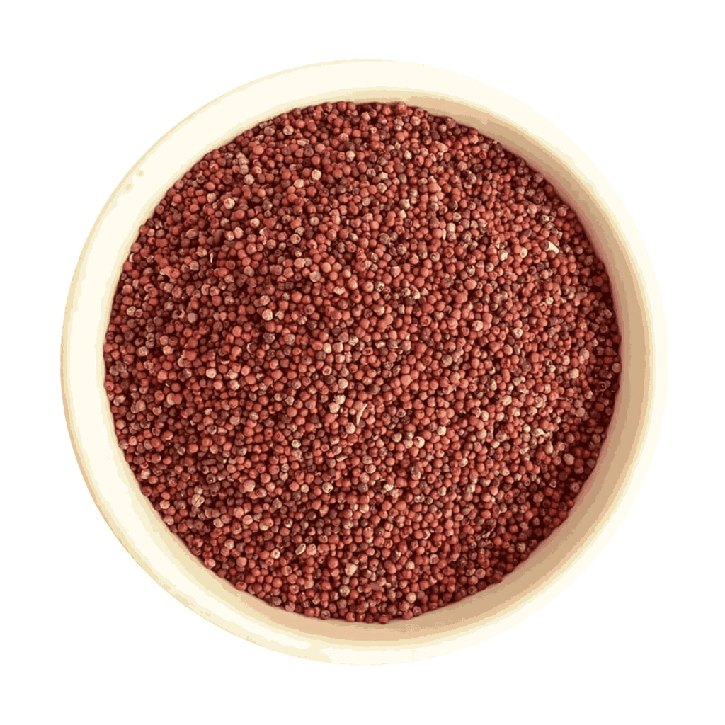 Ak Ragi / Nachini / Finger Millet Pp