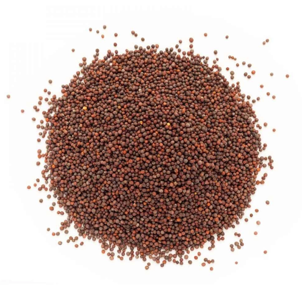 Ak Rai / Mustard Small Pp