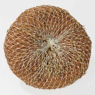VETIVER RAMACHAM