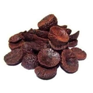Kali Pakku / Betulnut
