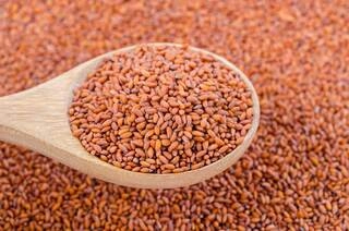 AK HALIM SEEDS / ASALIYA SEEDS PP