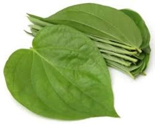 PAAN LEAF