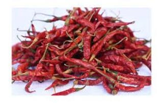 Ak Lavangi Chilli Pp