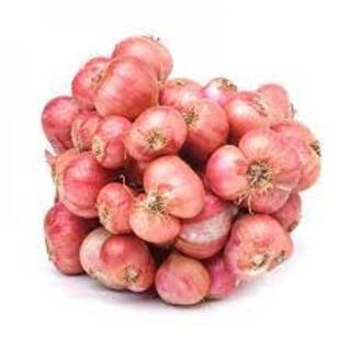 SMALL ONION