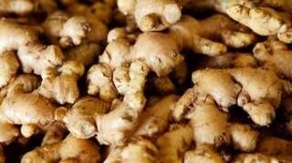 Ginger