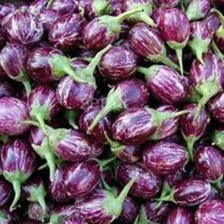 Brinjal (Baigan)