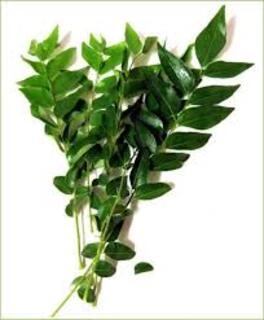 Curry Leaves (Kadi Patta)