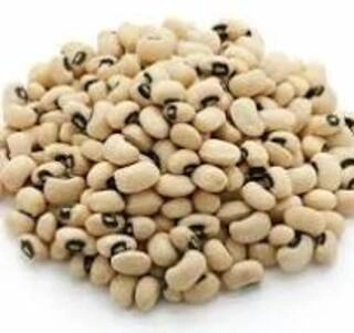 Chowli