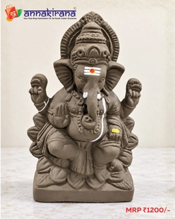 Ganpati Idol 3