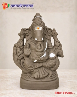 Ganpati Idol 5