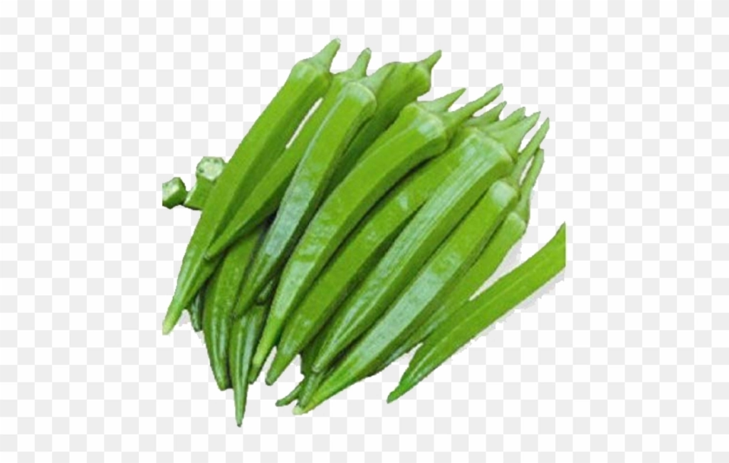 Bhendi