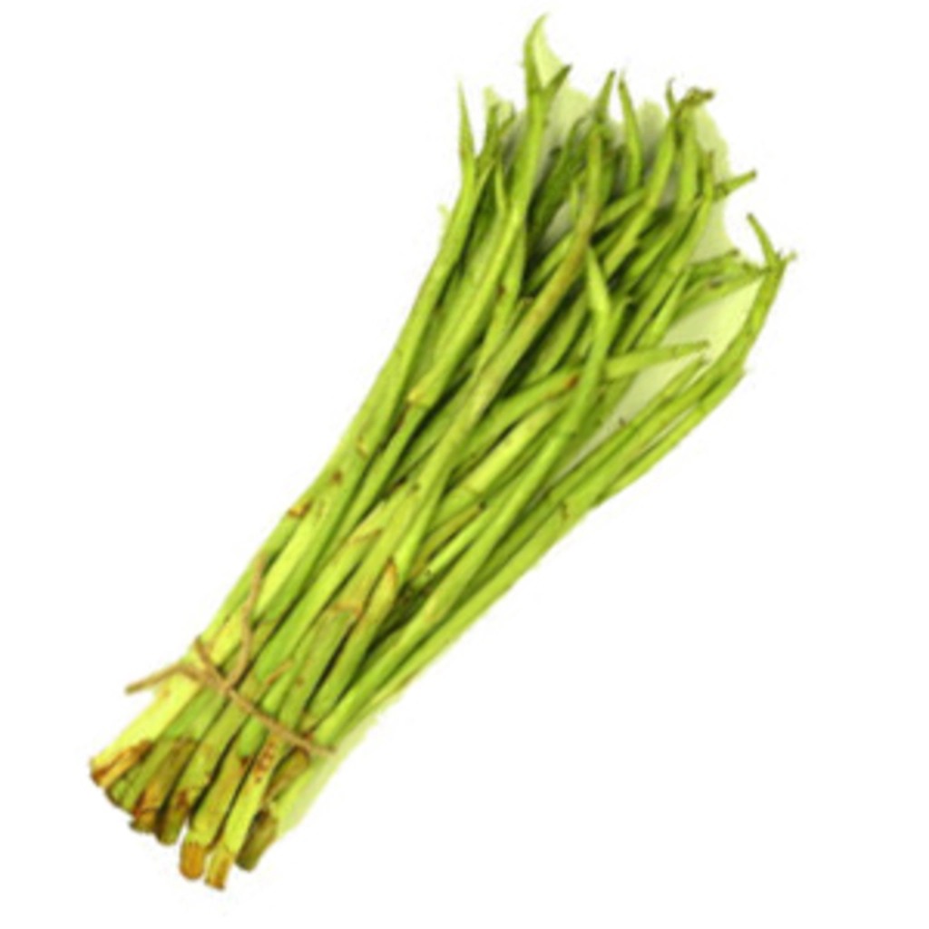 Kochu Loti