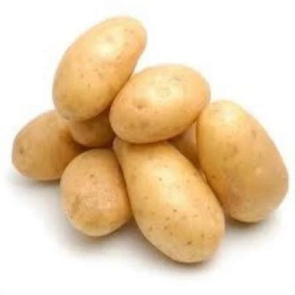 Chandramukhi Alu