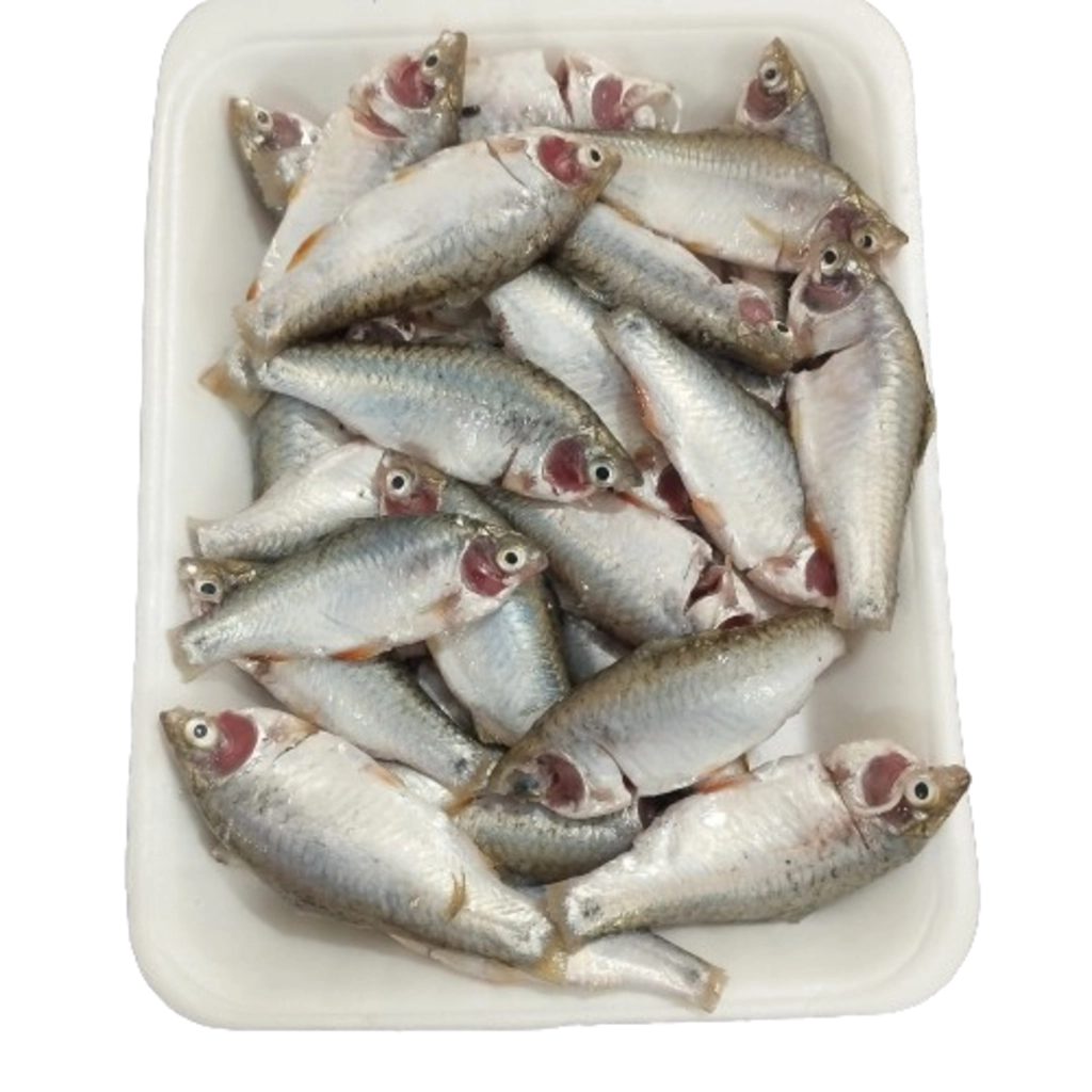 Desi Puti Fish- Gross 250g