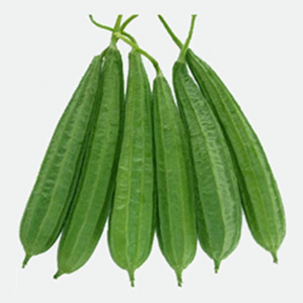 Jhinge