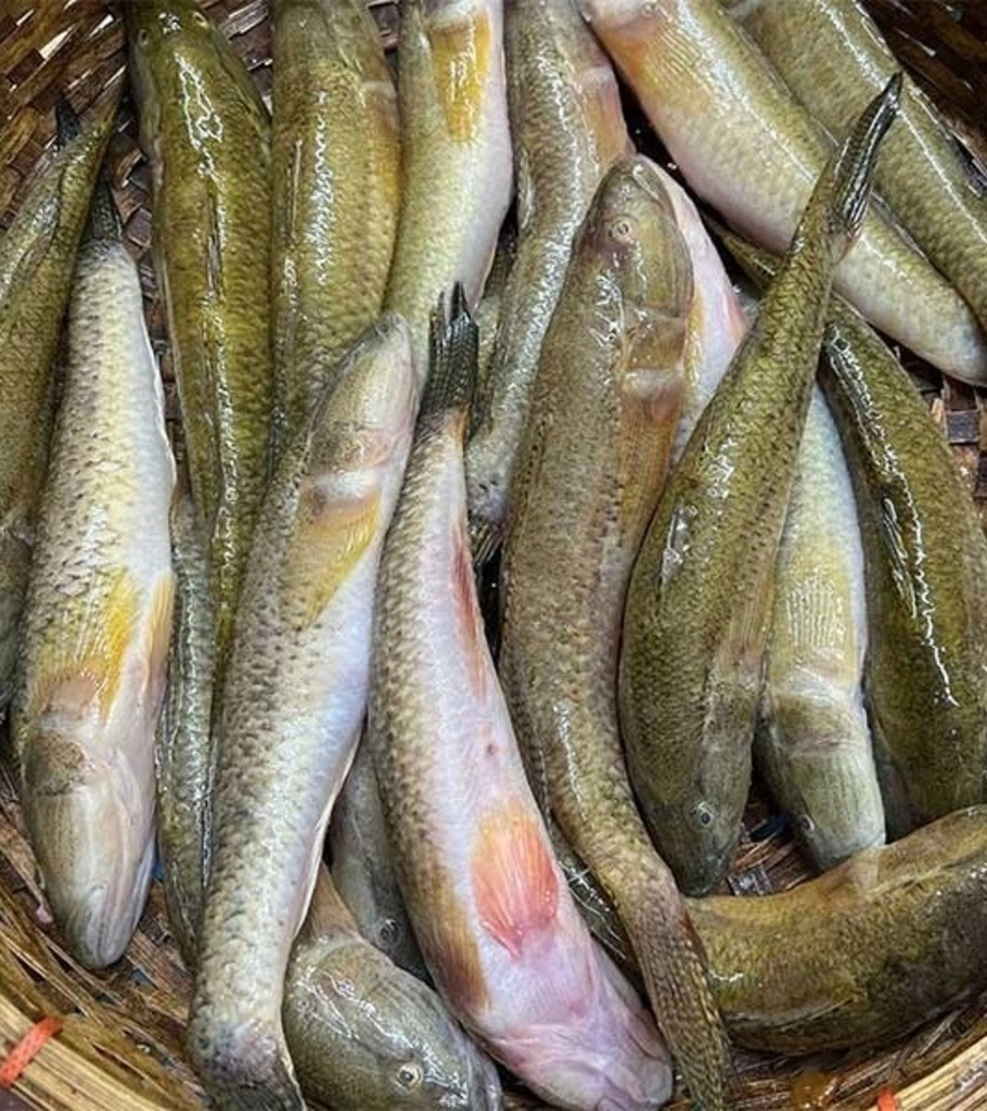 Desi Bele Fish -(Cut & Cleaned)