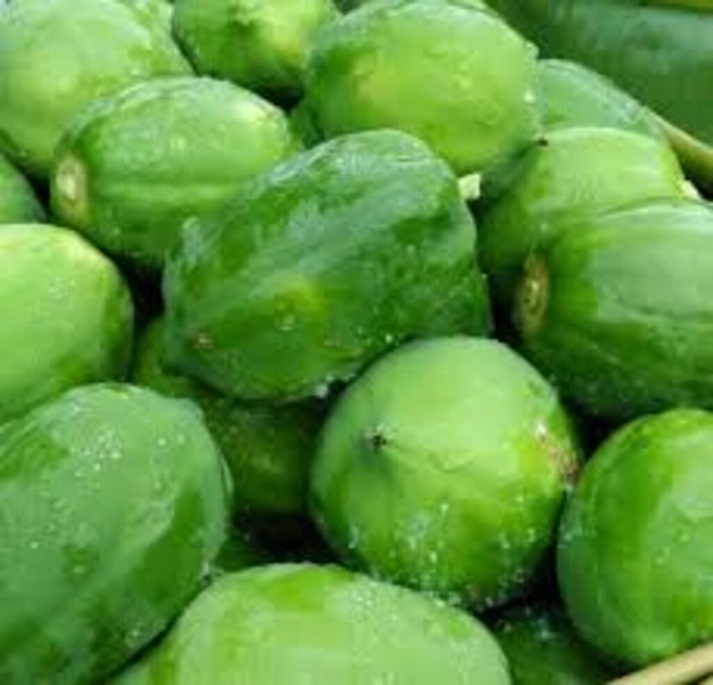 Kacha Pepe Medium Size