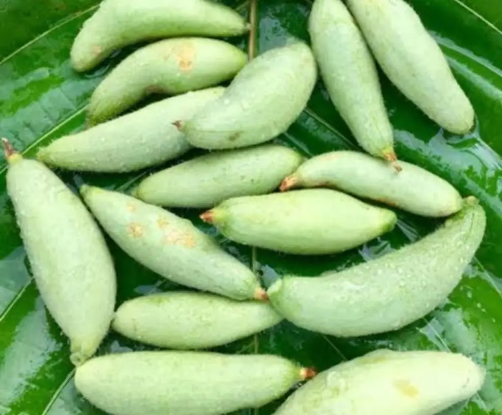 Desi Potol