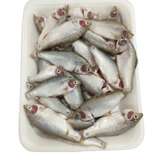 Desi Puti Fish- Gross 250g