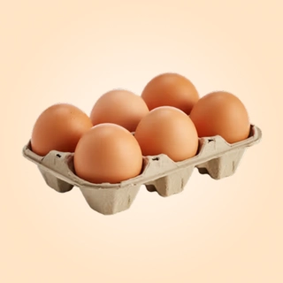 EGG FISH & MEAT